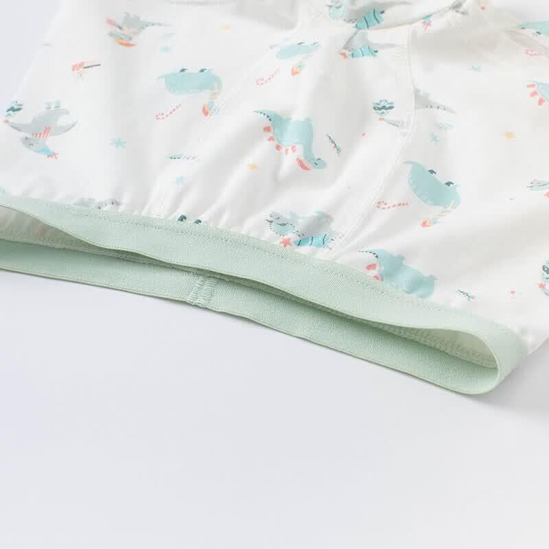 DAVE & BELLA Boys' Stretchy Boxer Briefs - 2 Pack