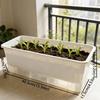 Self Watering Seedling Tray Plastic Growing Box Practical Plant Nursery Pot  Vegetable Gardening