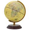 Tianyu 32cm Luminous English Globe for Students and Children