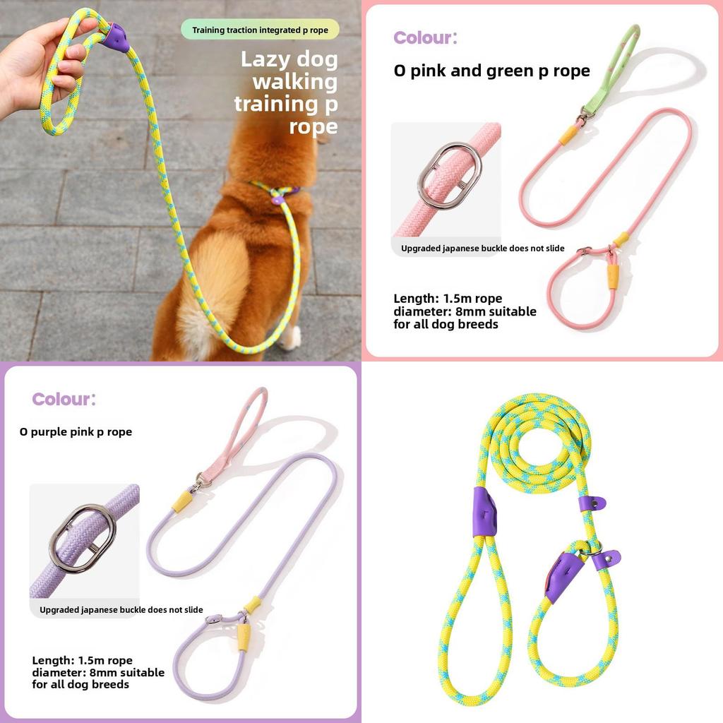 Petsafe Nylon Dog Traction Rope With Adjustable P Chain For Medium Large Dogs Outdoor Walks