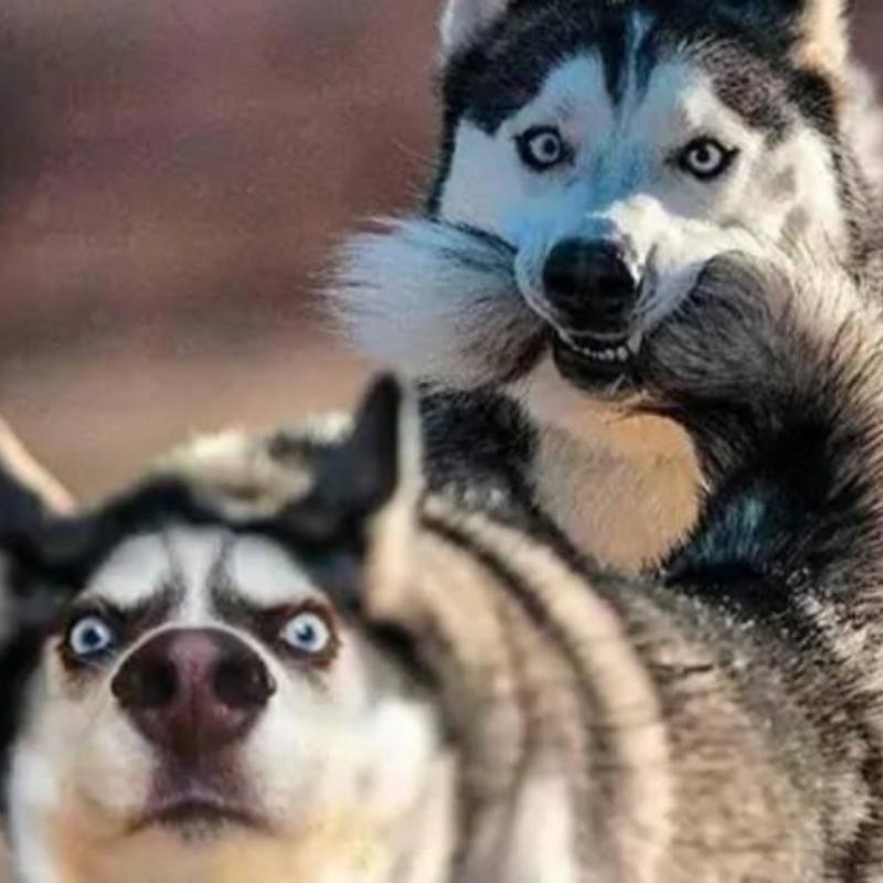 New Floating Solar Air Pump Aerator Pumps For Aquarium Fish Tank Pond Fishing Oxygenation with Air Hoses and Bubble Stone