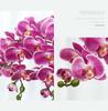 Lan Kwai Fong Luxurious Phalaenopsis Artificial Flowers for Living Room Decoration