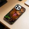 Funny Cute Monkeys  Phone Case For iPhone 17,16,15,14,13,12,11 Plus,Pro Max,XS,Colored Silver Plated Inside Cover