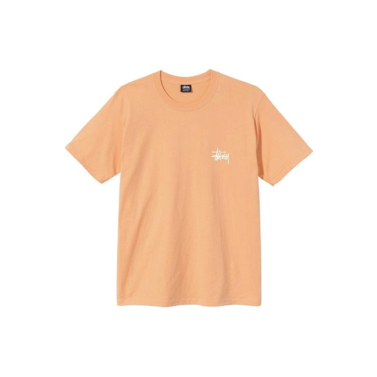 Stussy SS21 Tee Unisex 1904649