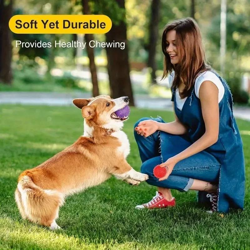 Dog Toys Squeaky Balls for Teeth Cleaning, Durable Molar Toy, Floating Bouncy Interactive Pet Toy for Oral Care
