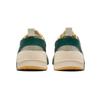 Onitsuka Tiger Big Logo Trainer 'White Green' Men's 1183A795-102