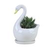 Creative White Swan Flower Pot Personalized Animal Vase Hydroponic Flower Holder  Birthday