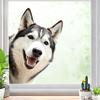 Adesivi Divertenti per Finestre con Cane che Sbircia Animali Carini Riutilizzabili Decorazioni per Finestre Double Face