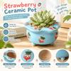 Korean Style Hand-Painted Strawberry Ceramic Flower Pot