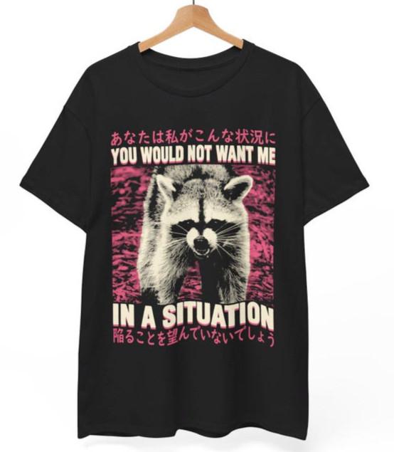 You Would Not Want Me Raccoon T-Shirt | Funny Ironic Meme Tee | Chaos Gift XXXXL