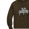 Polo Ralph Lauren Zebra Embroidered Crew Neck Pullover Sweater Women sweater Green 211839015-001