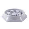 Pet Slow Feeder Anti-Choke Dog Bowl
