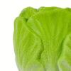 Squeaky Vegetable Dog Toy Broccoli Ginger Shape Dog Chew Toy Latex Interactive Puppy Teething Toy for Small Medium Dogs