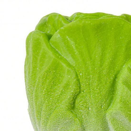 Squeaky Vegetable Dog Toy Broccoli Ginger Shape Dog Chew Toy Latex Interactive Puppy Teething Toy for Small Medium Dogs