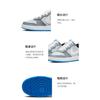 Nike Court Borough Low 2 SE 'Platinum Pur Albastru Foto' GS BQ5448-019