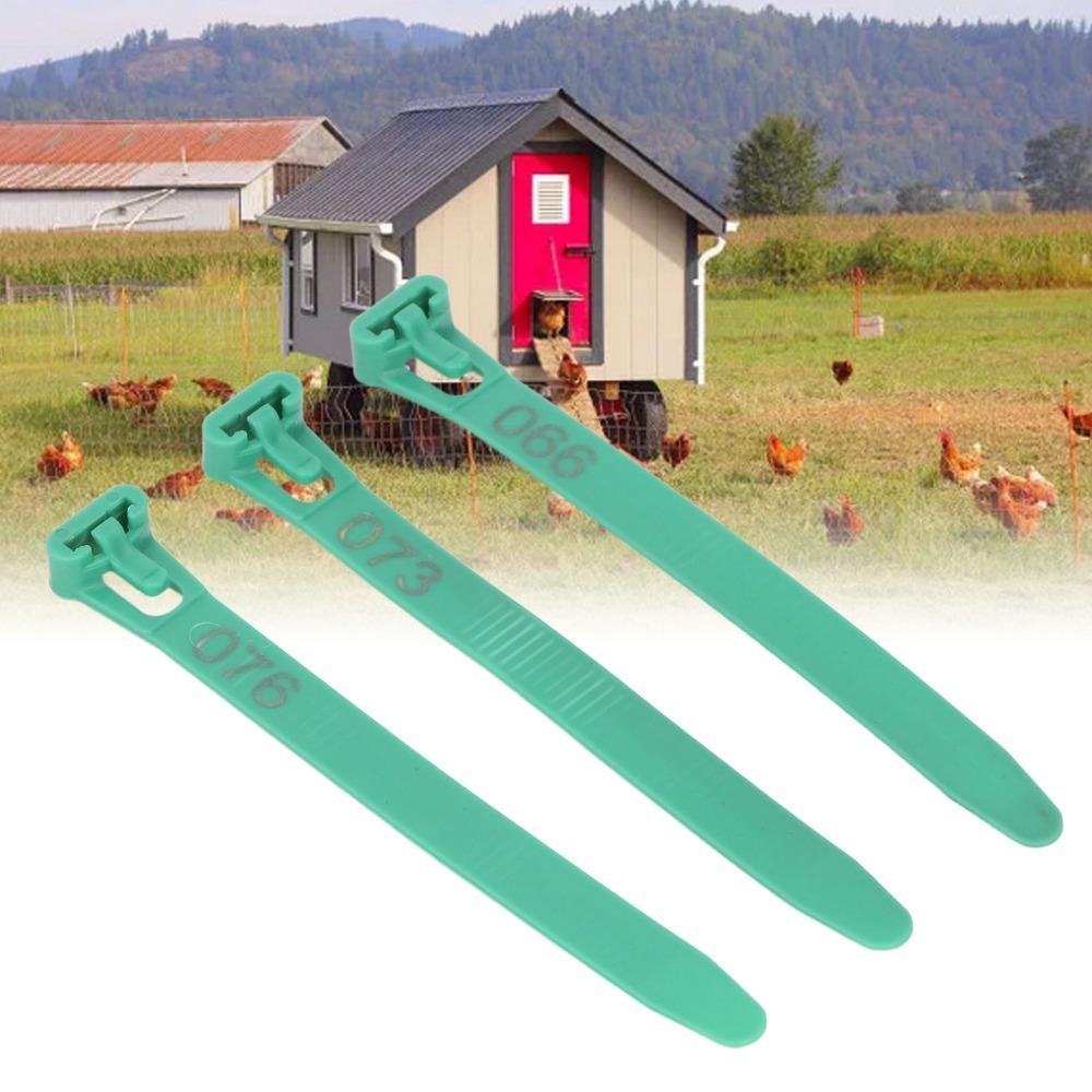 100Pcs PP Chicken Leg Rings Sturdy Poultry Leg Bands Easy to Apply Numbered Leg Bands Pigeons зелёный