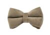 Adjustable Gray Velvet Dog Collar and Leash with Engraving Option