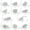 Archaeological Excavation Simulation Luminous Skull Model Dinosaur Animal Triceratops Saber-Toothed Tiger Fossil Skeleton Ornament