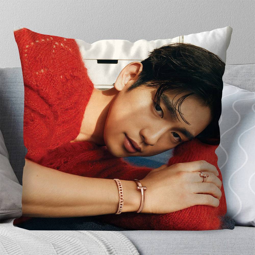 Korean Celebrity PPark Jinyoung Pillow Case Fashion Square Pillowcase Bedroom Sofa Room Ins Decoration Leisure
