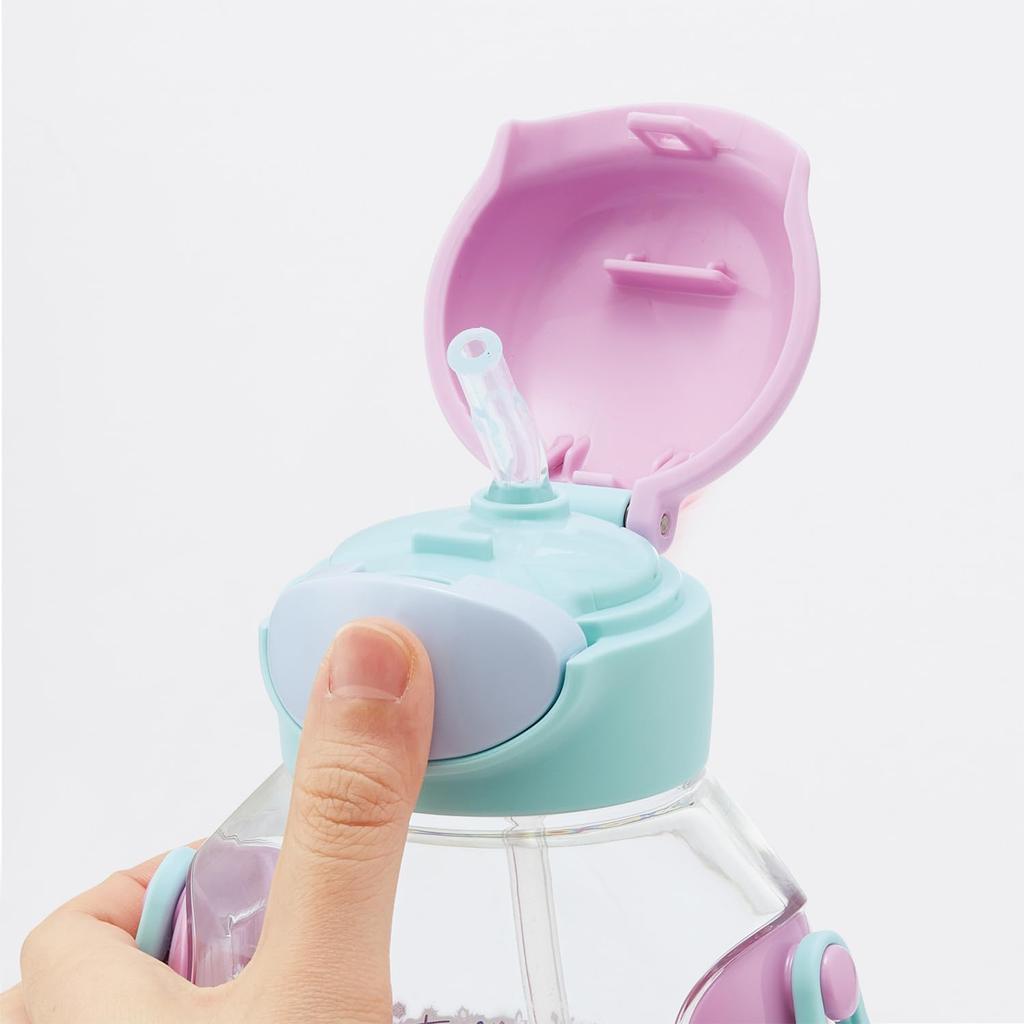 Skater Water Bottle with Disney Frozen PDSH6DX Children's Straw, 530ml, One-Push Operation, 25, Girls'