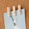 Xiaomi 20PCS-Wooden Push Pin Clip Set with Clear Storage Box for Cork Boards, Bulletin Boards, Photos and DIY Crafts