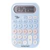 Adorable Silent Student Calculator for Office, Accounting, and Business Use