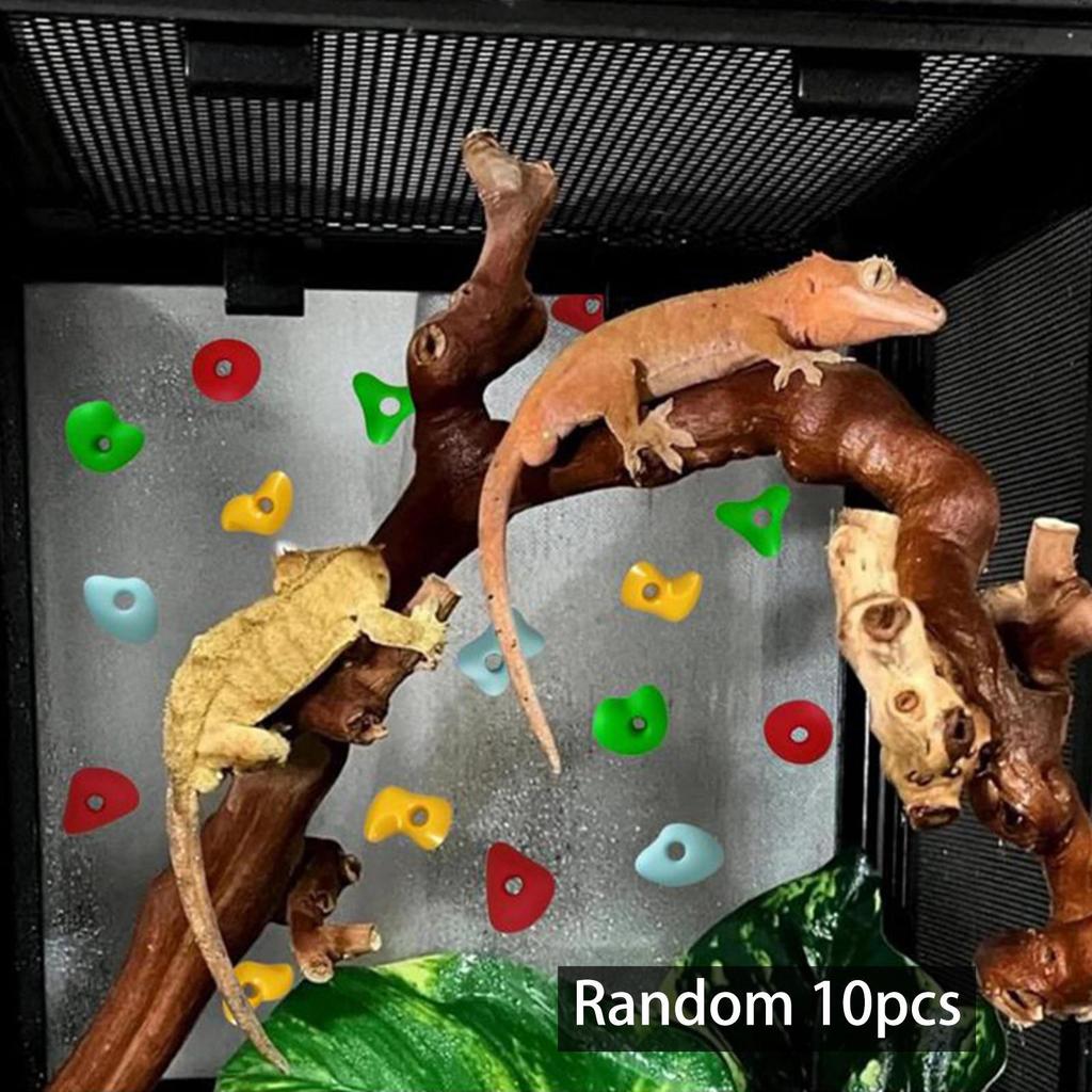 10 Pieces Pet Terrarium Grip Stones Reptile Habitat Decor Colorful Acrylic Climbing