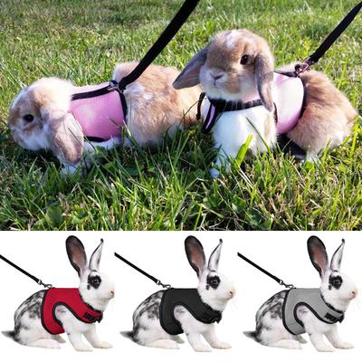 Stabiles verstellbares Haustiergeschirr und Leine für Kaninchen, Häschen, Katze, Frettchen, Outdoor-Spaziergänge, Haustierbedarf lapin accessoires pour animaux