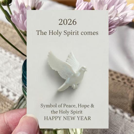Yousheng Pocket Hug Gift 3D Printed/2D Acrylic Peace Bird with Card Pigeon Pocket Hug Token Emotional Support Keepsake Gift for Friends Family