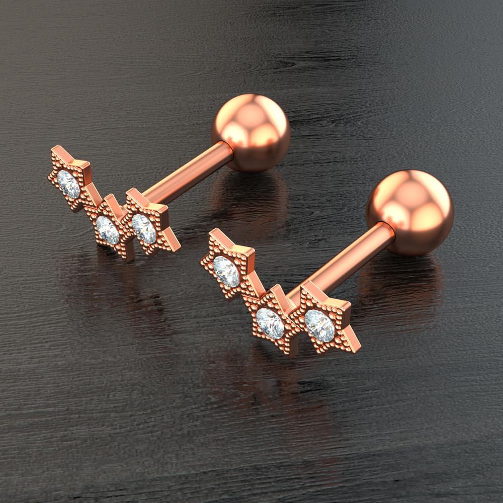 Set 10 Stainless Steel Bar Cartilage Piercing Studs Star Heart Flower Moon Rook Earlobe Screw Statement Earrings Tragus Conch