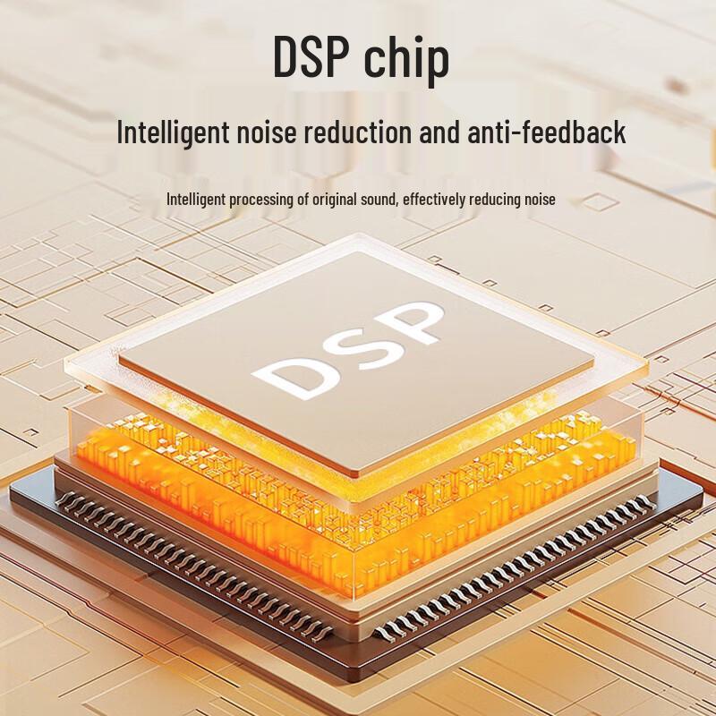 NEWMINE U-238 Wireless Portable Voice Amplifier