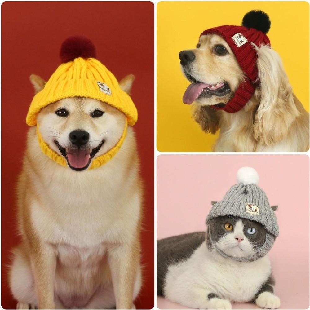 Pet Accessory Warm Knitted Dog Hat Windproof Ear Exposed Pet Cap Hand-knitted Winter Pet Dress Up for Cats Puppy