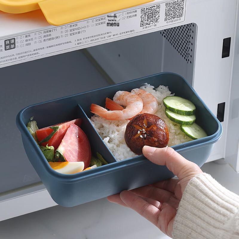 Zhishi Portable Microwavable Plastic Lunch Box Set