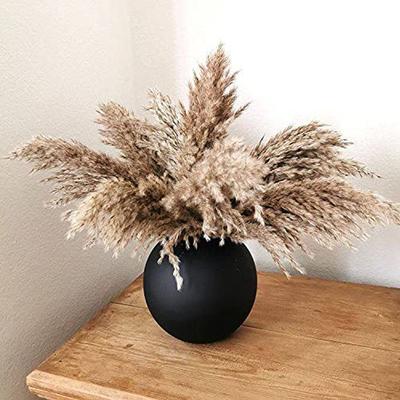 Bouquet Of Dried Reeds, Home Wedding Decoration Soft Decoration Fluffy Pampas Dried Flowers