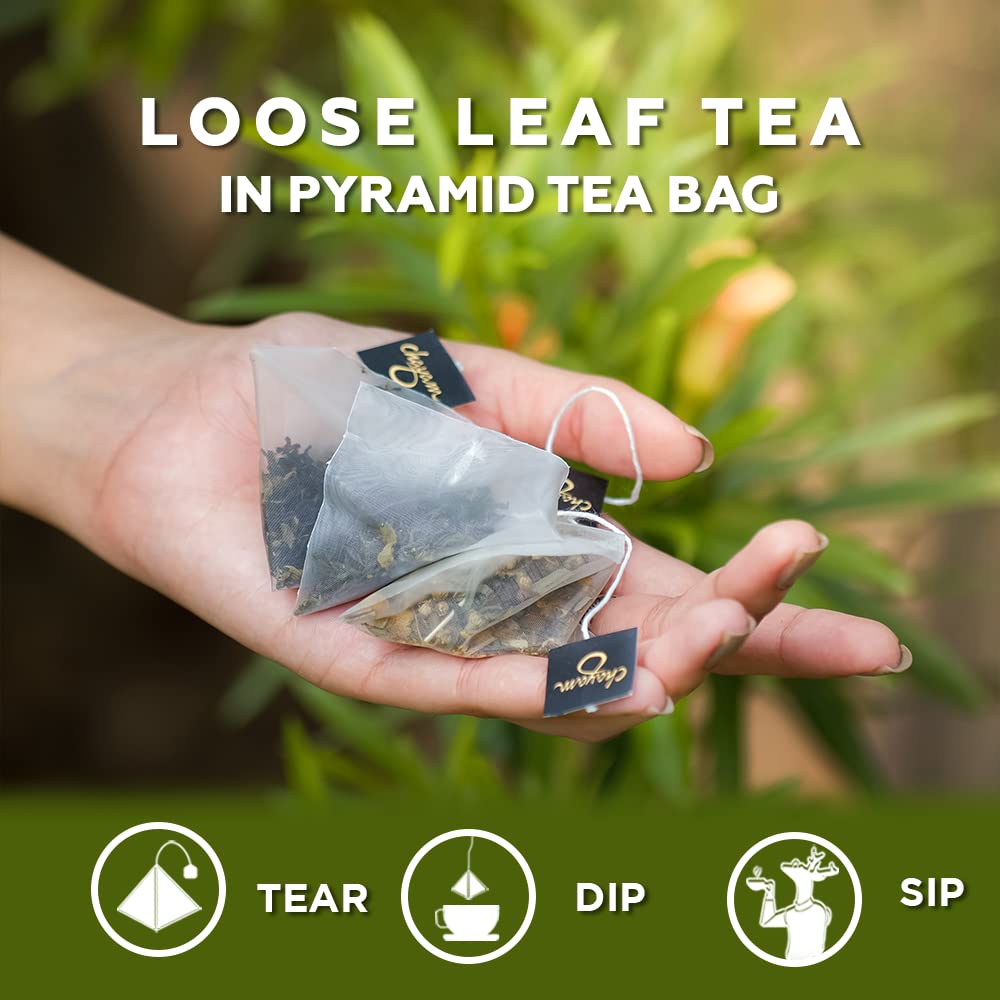 Sachets de Thé à la Cannelle CHAYAM avec Zeste d'Orange, Clou de Girofle, Anis Étoilé | 20 Sachets de Thé, Pack de 1 | Thé Vert à la Cannelle | Ingrédients 100% Naturels Réels et Entiers