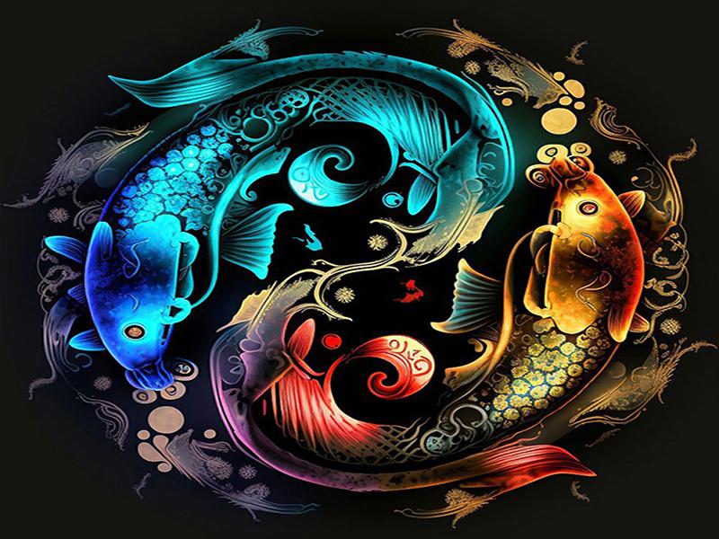 Yin-yang Animal Personality DIY Full Drill Diamond Decorative Painting