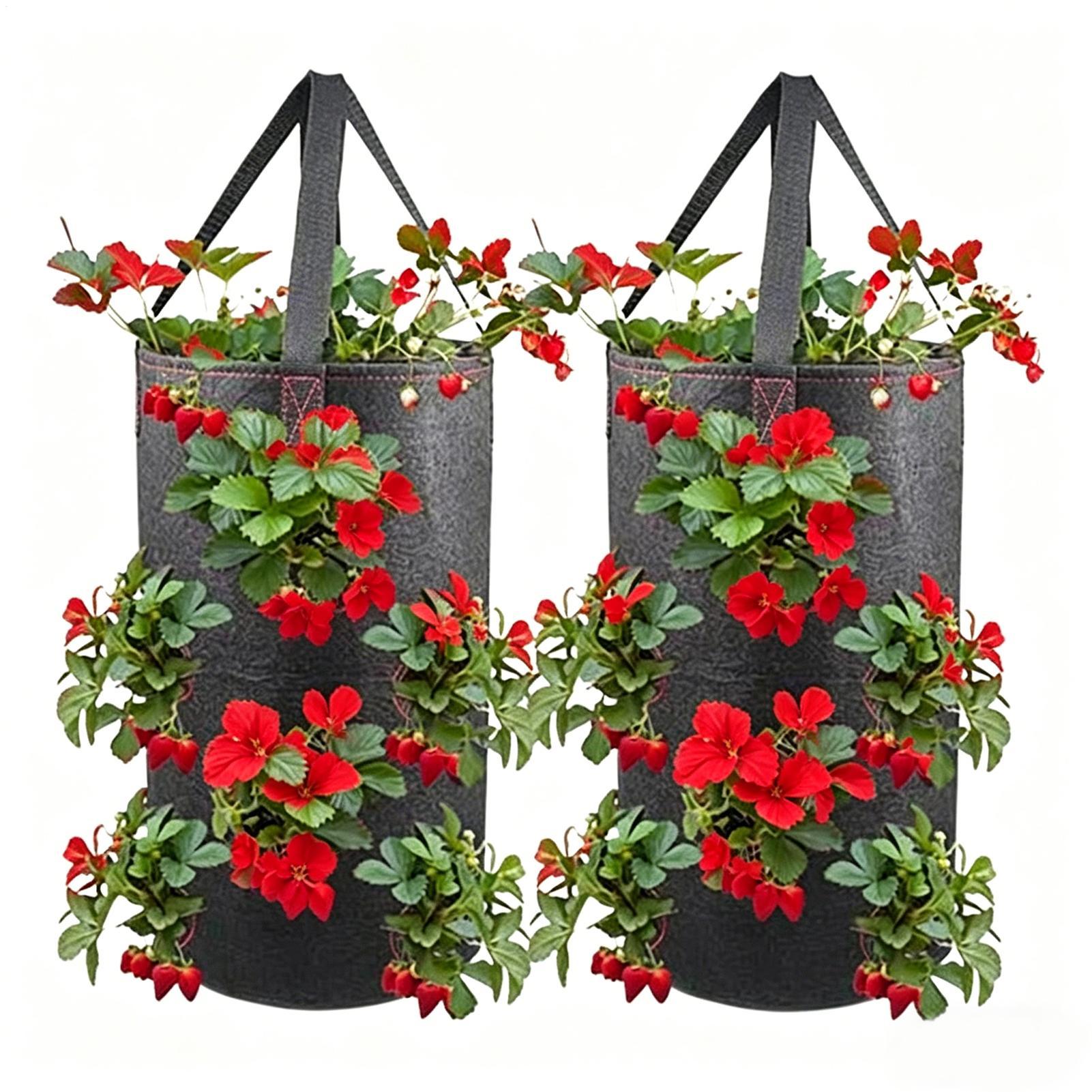 

2pcs Hanging Strawberry Planting Bags 3 Gallon Vertical 11 Planting Holes Breathable Felt Cloth Planter For Carrots Tomatoes China Mainland