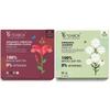 Teabox Organic Hibiscus Cinnamon Clove Green Tea Bags 50 Pcs & Teabox Organic Jasmine Green Tea 25 Teabags | Sourced From Madurai | For Calm