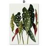 Green Plant Monstera Scallop Boho Abstract Flower Nordic Wall Art Canvas Painting Posters Prints Pictures for Living Room Decor No Frame