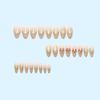 Elegant French Manicure Cat Eye Petal Series Medium-Long Oval Press-on Nails