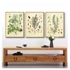 Poster Parsley Sage Rosemary Thyme Culinary Wall Art Picture Canvas Painting Kitchen Decor Spices Herbs Print Vintage Botanical No Frame