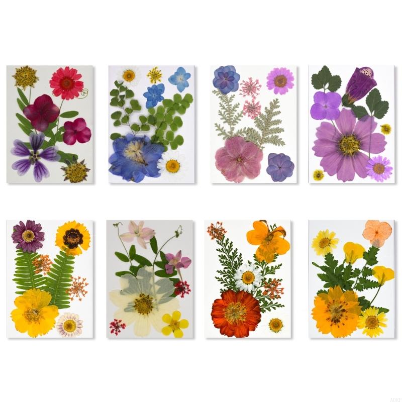 Elegant Natural Pressed Flower 32 Pieces 4 Pack Materials Dried Florals For Resin Art Jewelry Making Projects A0KF