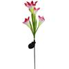 Solar Lily Ground Mounted Lamp Best Choice for Solar Flowers Outdoor Waterproof Utdoor Solar Lights Garden Lights