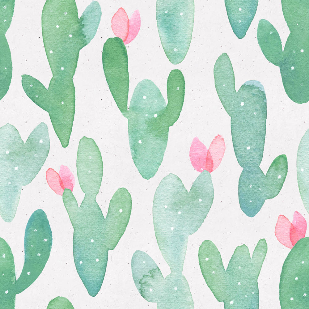 

Waterproof Cactus Peel And Stick Wallpaper Removable For Lockers Green/Pink Vinyl Self Adhesive Wallpaper Kidroom Home Decorate 2mx45cm