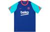 Nike Soccer Jersey Barcelona, Player Edition Unisex Blue CW1399-456