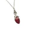 Anatomy Heart Necklace with Elegant Crystals for Trendy Women Seek Unique and Passionate Gothic Jewelry Accessories