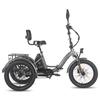Electric Freight Bike Fafrees F20 Mate 750W Peak Motor 20" Fat Tire 48V 23.45AH Hydraulic Disc Brakes Max Load 180Kg LCD Display
