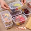 1Pcs Fruits Meat Preservation Food Storage Box Square Fridge Organizer Container