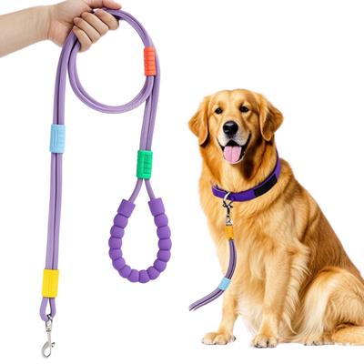 Köpek – Köpek Tasmaları ve Tasma Kayışları