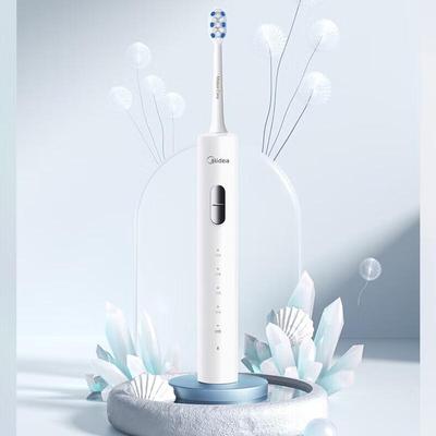 Midea S1PX Schallzahnbürste (CN-Stecker) (Adapter enthalten)
